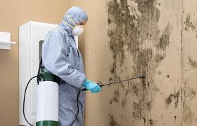 Best Air Quality Testing for Mold Spores  in Cherry Creek, CO